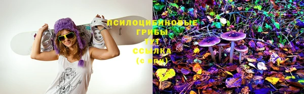 ECSTASY Волоколамск