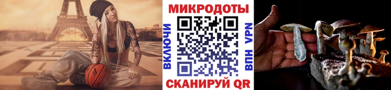 Купить закладки  Мантурово  Галлюциногенные грибы Psilocybe 